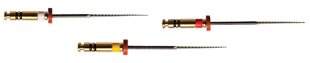 EdgeEndo solutions: An Interview With Dr. Charles J. Goodis